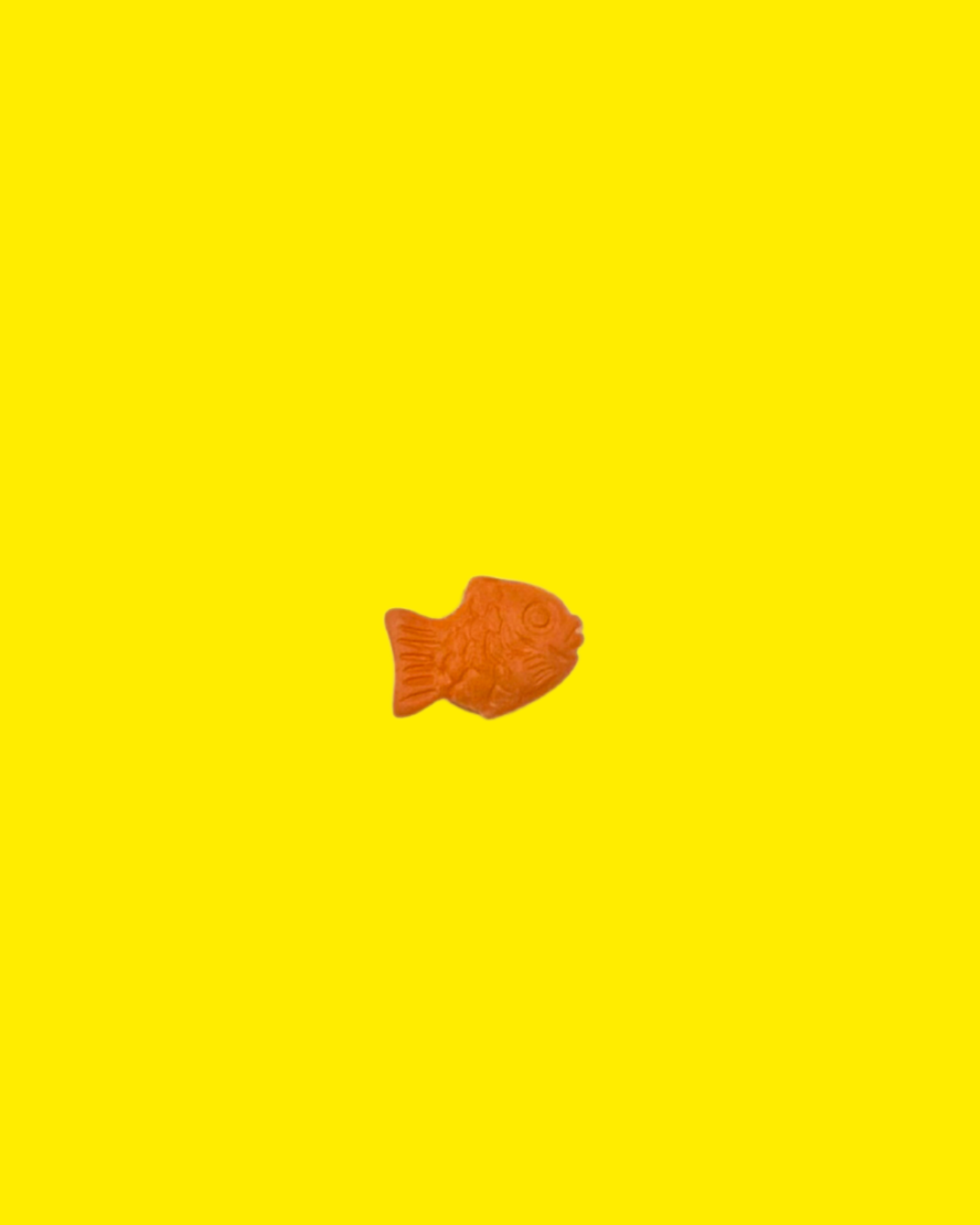goldfish