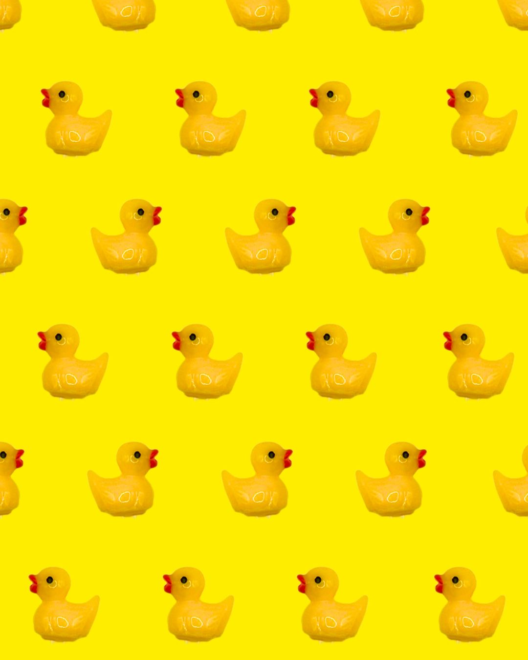 duckie