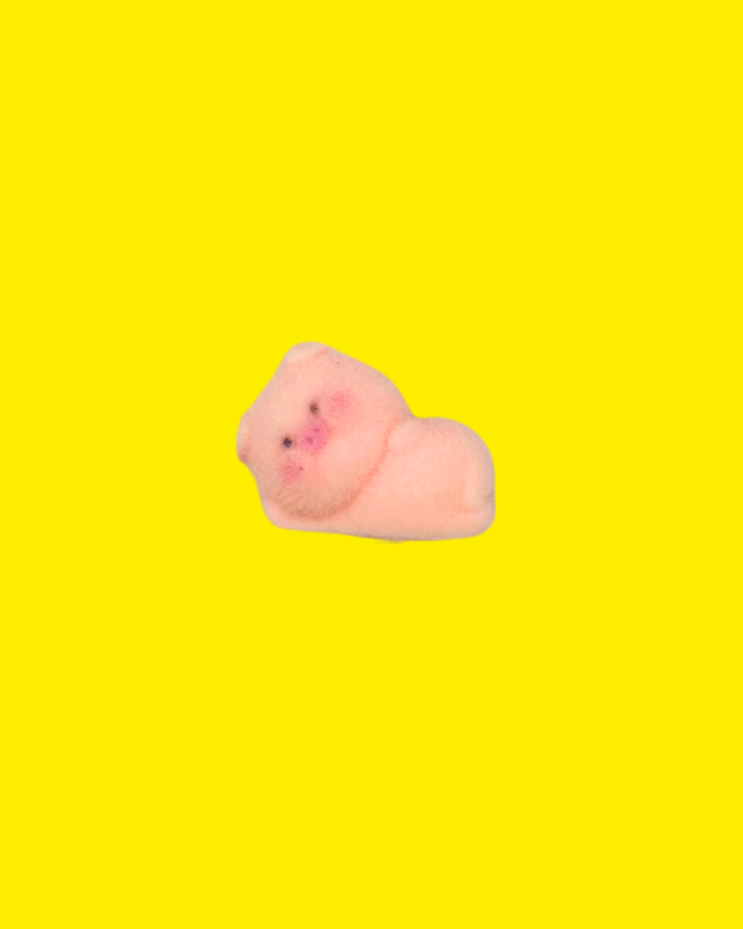pigster